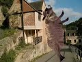 Dancing Donkey - Chalford Donkey II