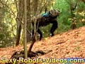 bigdog new improved 2008 version   roborama info