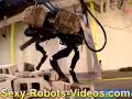 bigdog new improved 2008 version   roborama info