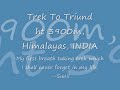 Trek To Triund TTT,India