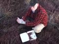 Pick your own Cape Cod cranberries