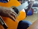 CAMARON ACOMPA�AMIENTO