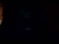 videos de RTRRTV 0322 Whale Avatar Palden Dorje