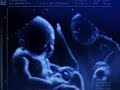 Twin Babies