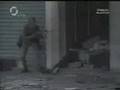 ASESINO IMPUNE