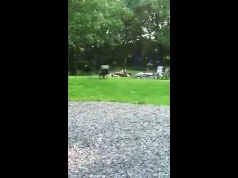 explosion of bottle
