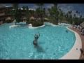 Iberostar Dominicana Punta Cana Karol Chareza hotel review reviews