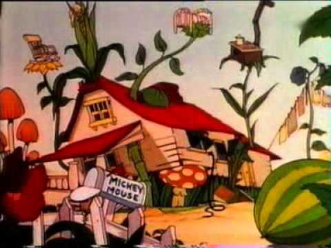 Myszka Miki - Ogród Mikiego mysz