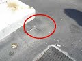Roof X Tender Training - Single-Ply Roof X Tender Training - Single-Ply