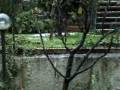 videos de grandinata a imperia 30 novembre.wmv