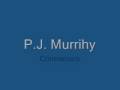 P.J. Murrihy - Connemara