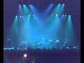 the pogues