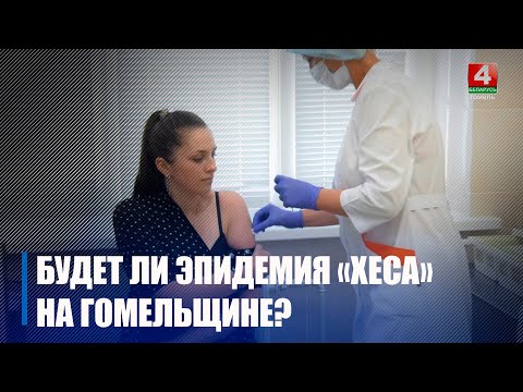 Узнали, есть ли угроза для жителей Гомельщины от нового штамма коронавируса «Хес» видео
