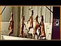 101 East - China's animal crusaders