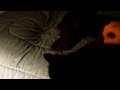 Kitteh