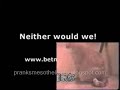## THIS ANIMAL VIDEO DOESN\ ## THIS ANIMAL VIDEO DOESN\