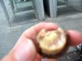 videos de Crappy Mozart Ball