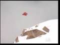 Snowboard Profile Andreas Wiig