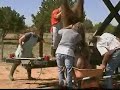 butchering a bison