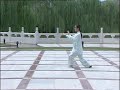 Taijiquan: 24 Form (View from back)