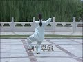 Taijiquan: 24 Form (View from back)