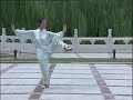 Taijiquan: 24 Form (View from back)