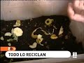una casa ecológica