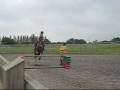 Polly & Smartie; Flying Without Wings ♥