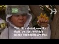 Learn how to make a Max Halloween costume from the book and movie Where the Wild Things Are.
