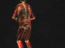 Biomechanics of Life