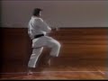 Tanaka Masahiko - Kizami Mae-Geri Tanaka Masahiko - Kizami Mae-Geri