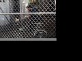 MTV2 Cribs-Ribes
