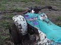 Fun in the mud