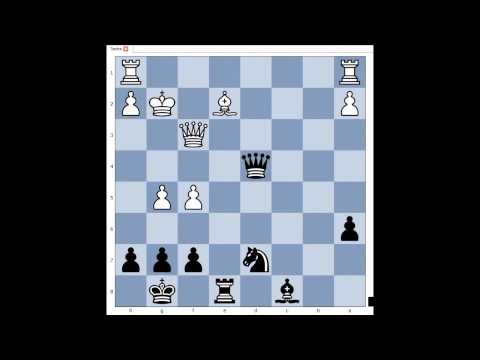 chess chess