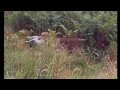 Sporting Scene - Spaniel Training Master Class P3 .