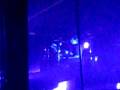 videos de Ecstacy of Gold