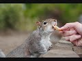 Cute Pets!