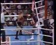 Australian Boxer Jeff Fenech