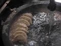 Motakuto-mo-bikkuri-no-gyoza