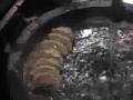 Motakuto-mo-bikkuri-no-gyoza