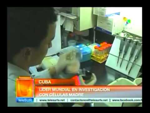 Imagen de previsualización de YouTube