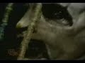 Slipknot praises and disses Fred Durst