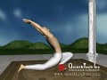 Equestrian pose of Sun Salutation asanas