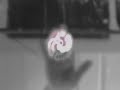 FTIR Multi Touch FTIR Multi Touch