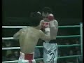 (very rare) Superflyweight Barrera 2of4