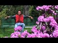 Andycamper - Flowers - Collect it