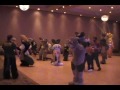 Midwest Furfest 2009 - Tigertoy & Asino go to the dance.