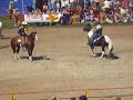 Rodeo Hilter 2007 Wildpferdreiten