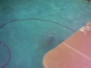 Diving Board - 4th of July