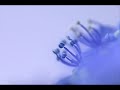 Antonio Vivaldi: Concerto for strings / recorder ripieno & b.c. in B flat major, 'Conca' (RV 163)
